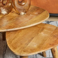 StarFurn Salontafel Omaha Mangohout Set van 2