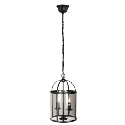 Steinhauer Hanglamp Pimpernel 2-Lichts Zwart