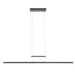 Steinhauer Hanglamp Profilo Zwart 115cm