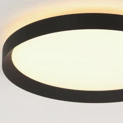 Steinhauer Plafondlamp Flady Zwart Ø40cm