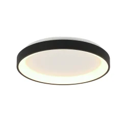 Steinhauer Plafondlamp Ringlede Dun Zwart Ø28cm