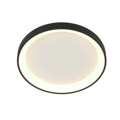 Steinhauer Plafondlamp Ringlede Dun Zwart Ø28cm
