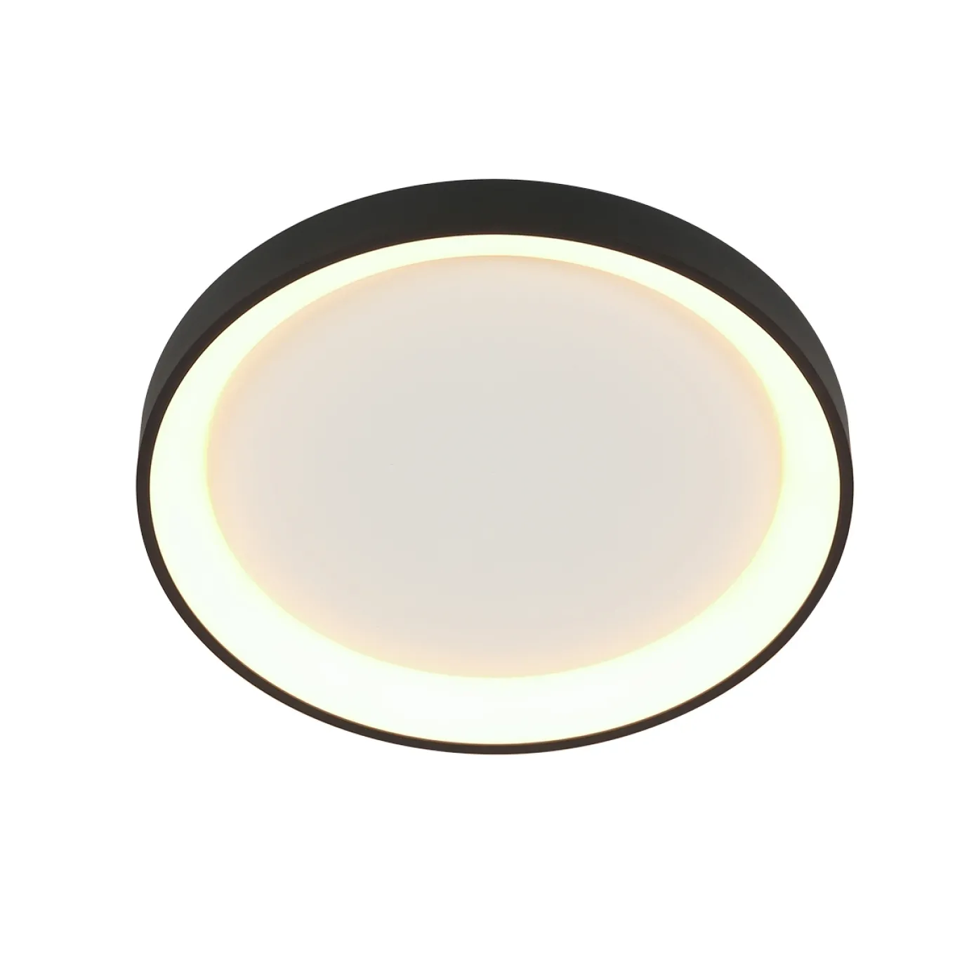 Steinhauer Plafondlamp Ringlede Dun Zwart Ø28cm