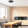 Steinhauer Plafondlamp Ringlux Zwart Ø32cm