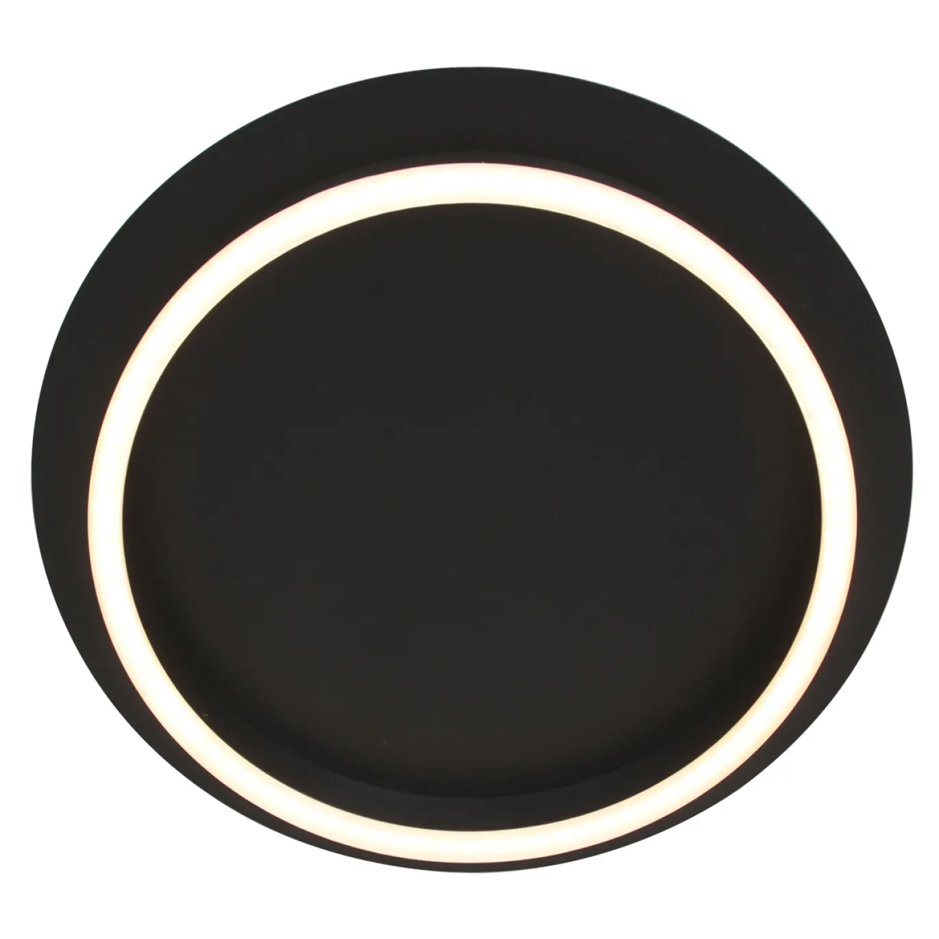 Steinhauer Plafondlamp Ringlux Zwart Ø32cm