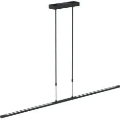 Steinhauer Zelena Hanglamp Zwart 155cm