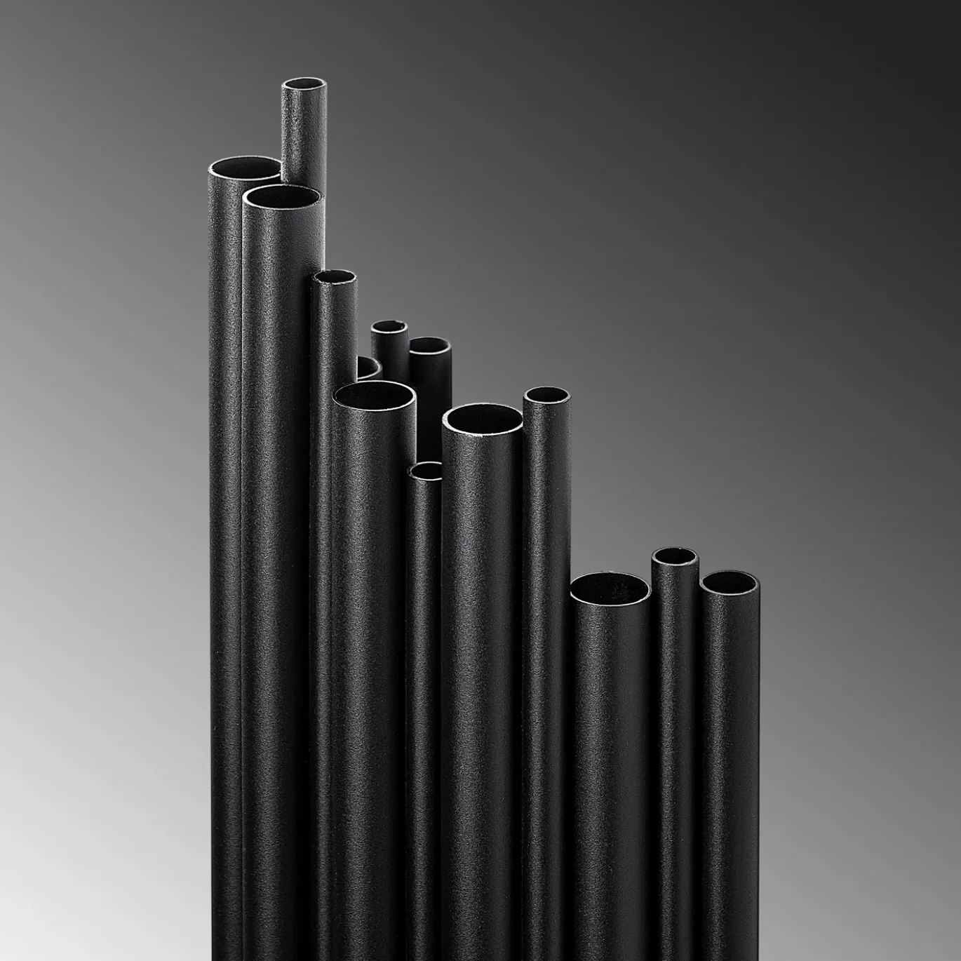 Wandlamp Reis Zwart