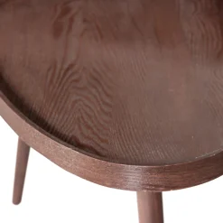 Woood Bijzettafel Nissa Walnoot Set Van 2