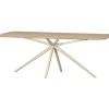 Woood Eettafel Tablo Deens Ovaal Vj 220x100cm Transparant