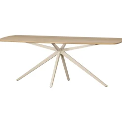 Woood Eettafel Tablo Deens Ovaal Vj 220x100cm Transparant
