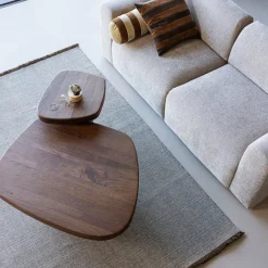 Woood Salontafel Nodu Mangohout Bruin