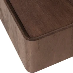Woood Salontafel Volu Mangohout Bruin