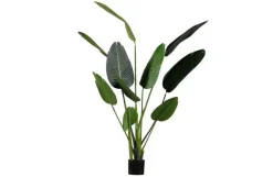 Woood Strelitzia Kunstplant Groen 164cm